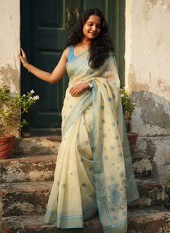 Sky Blue Dhoop Chaav - Aks Super Net Chikankari Saree