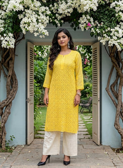 Ada Mango -  Bahaar Muslin Front Jaal Chikankari Kurta