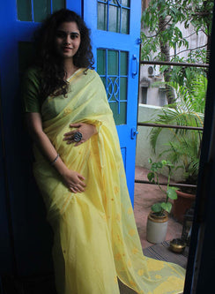 Shachi  Kiran - Kota Aks Cotton Saree